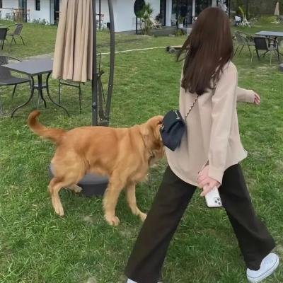 长岛凶宅故事